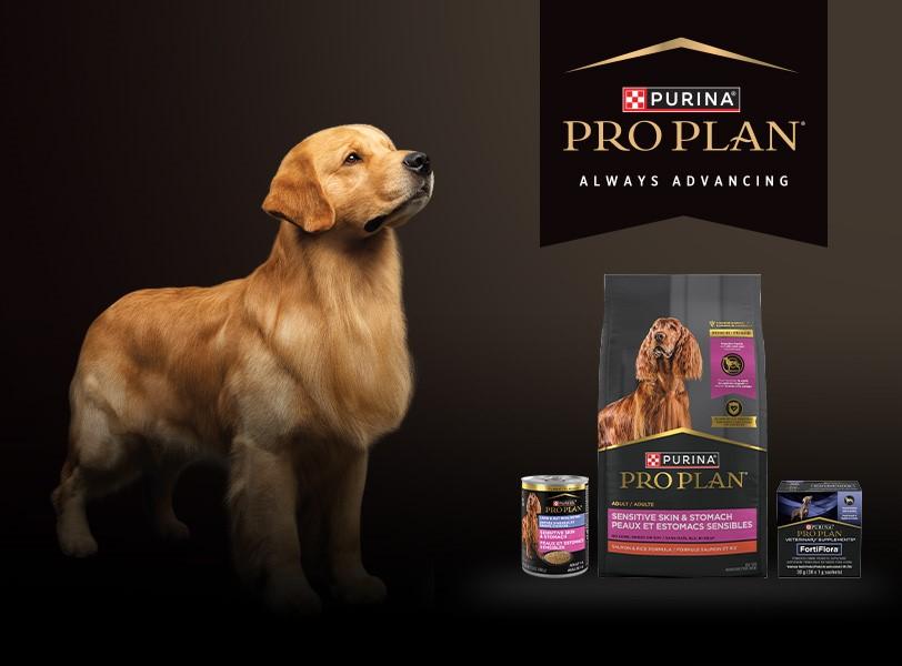Purina® Pro Club® Canada Dog Breeder Program Purina CA