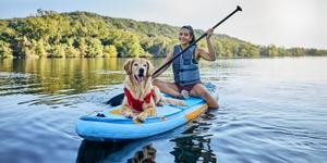 dog on a kayak with its owner