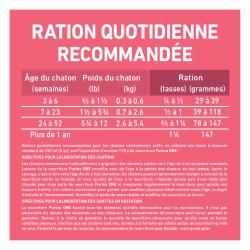 Directives Pour L'alimentation des Chats Adultes