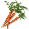 Carottes (déshydratées)