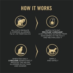 How it works