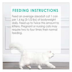 Feeding Recommendations