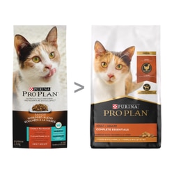 5580025690_Transition