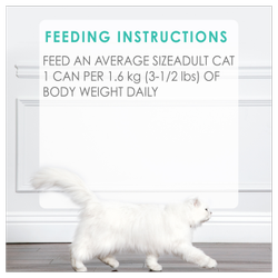 Feeding Recommendations