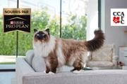 Les gagnants nationaux 2025 nourris avec la nourriture Purina Pro Plan