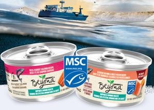 msc certified wet cat food products in front a boat in a sea
