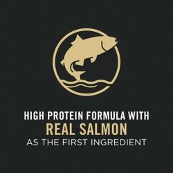 Real salmon as the first ingredient