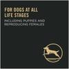 For dogs at all life stages