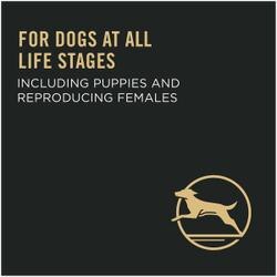 For dogs at all life stages