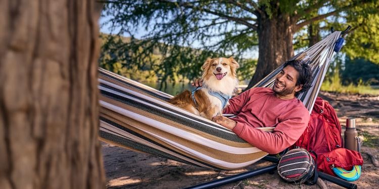 dog lying on a hammock with owner