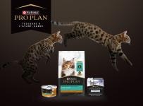 Programme pour les éleveurs de chats Pro Planᴹᴰ Canada