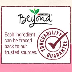 055800000538_OPS_Tile-3