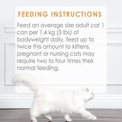 Feeding Recommendations