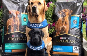 guide and servie dogs with pro plan product bags