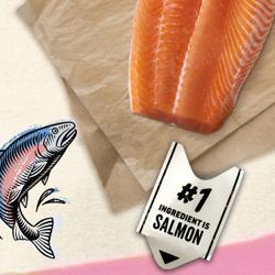 055800000538_OPS_Tile-2