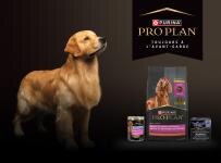 Le choix no 1 des éleveurs de chiens canadiens est désormais amélioré