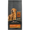 Pro Plan® Adult Complete Essentials Shredded Blend Chicken & Rice Dry Dog Food