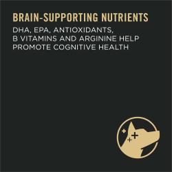 Brain Supporting Nutrients