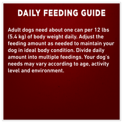 Daily Feeding Guide
