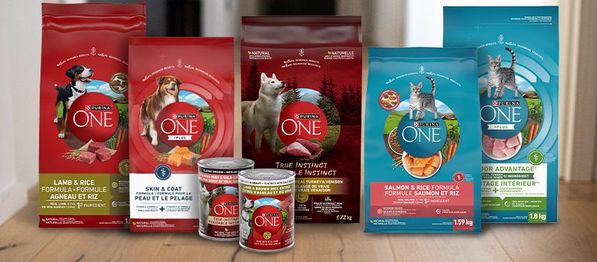 Difference Between Purina And Purina One Purina® ONE®: A Difference from Day ONE in Your Pet’s Nutrition | Purina CA