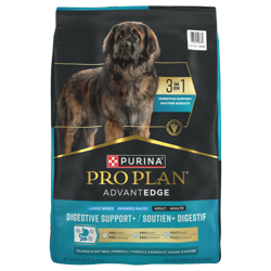 Pro Planᴹᴰ AdvantEDGE Soutien+ digestif – Nourriture sèche pour chiens adultes de grandes races, Formule Saumon et farine d’avoine