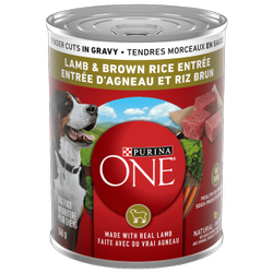 Purina ONEᴹᴰ Entrée d'Agneau et Riz Brun Tendres Morceaux en Sauce Nourriture pour Chiens