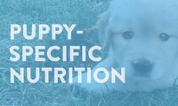 puppy specific nutrition