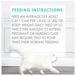Feeding Recommendations