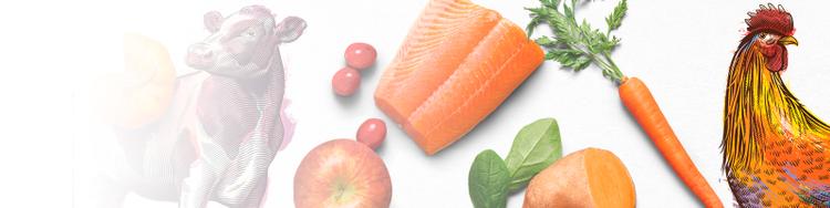 Beyond pet food ingredients scattered on white background