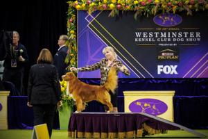 Luca and his Handler Christine Jones