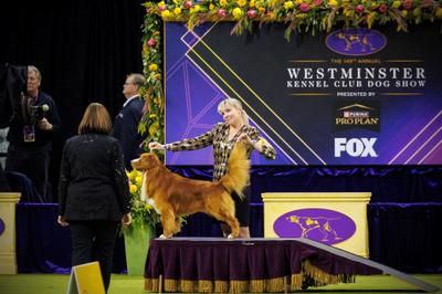 Luca and his Handler Christine Jones