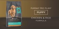 Pro Plan Puppy Chicken & Rice Formula