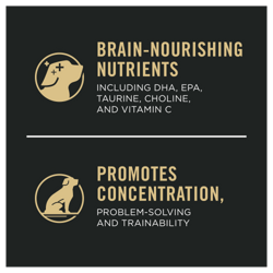 Brain-nourishing nutrients, promotes concentration