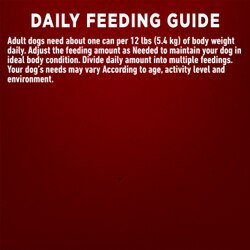 Recommended Daily Feeding Amounts