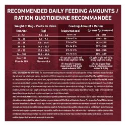 Daily Feeding Guide