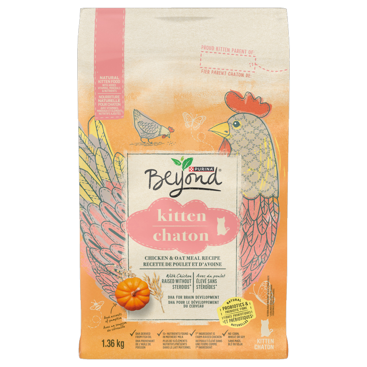 Beyond® Kitten Chicken & Oat Meal Recipe Dry Cat Food