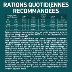 Rations Quotidiennes Recommandées