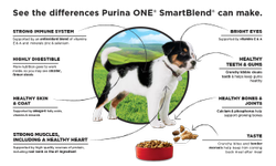 See the differences Purina ONE SmartBlend can make