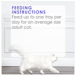 Feeding Recommendations