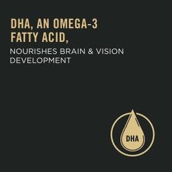 DHA, an omega-3 fatty acid