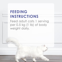 Feeding Instructions