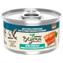 Beyondᴹᴰ Pâté Recette d’Omble Chevalier et d’Épinards Nourriture pour Chats