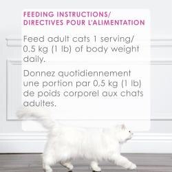 Rations Quotidiennes Recommandées