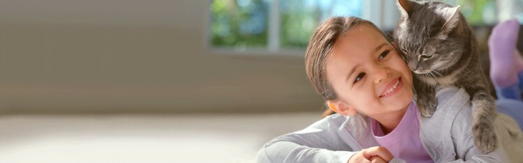 29KB 2001 null null null null 6 21 12 1 2003 null HSF6VyLfFWNRyM