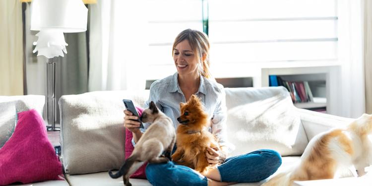woman with her phone sitting on a couch with her dog and cat