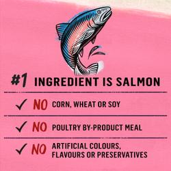 055800000538_OPS_Tile-1