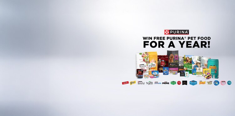 34KB 2001 null null null null null null null 1 2003 null 9brMF6jPNdylvM