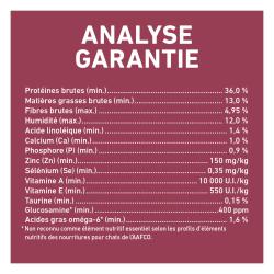 Analyse Garantie