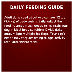 Daily Feeding Guide