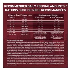 Daily Feeding Guide
